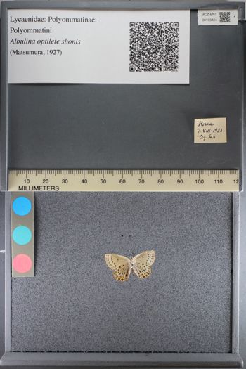 Media type: image;   Entomology 193424